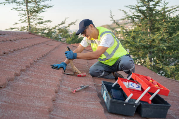Best Roof Leak Repair  in Minier, IL